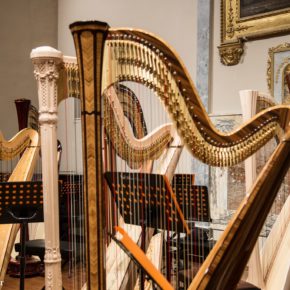 Awards: 10th International Harp Contest in Italy Suoni D’Arpa